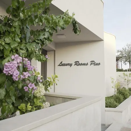 Πανσιόν Luxury Pino